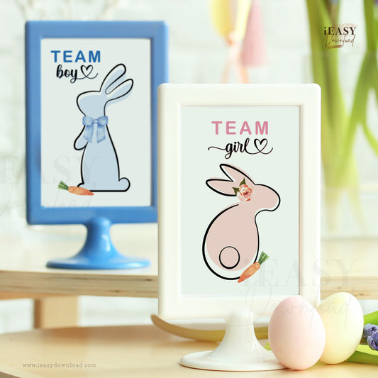 Bunny Gender Reveal Party • Team Boy or Team Girl • Rabbit Gender Reveal Sign - #GRBS1