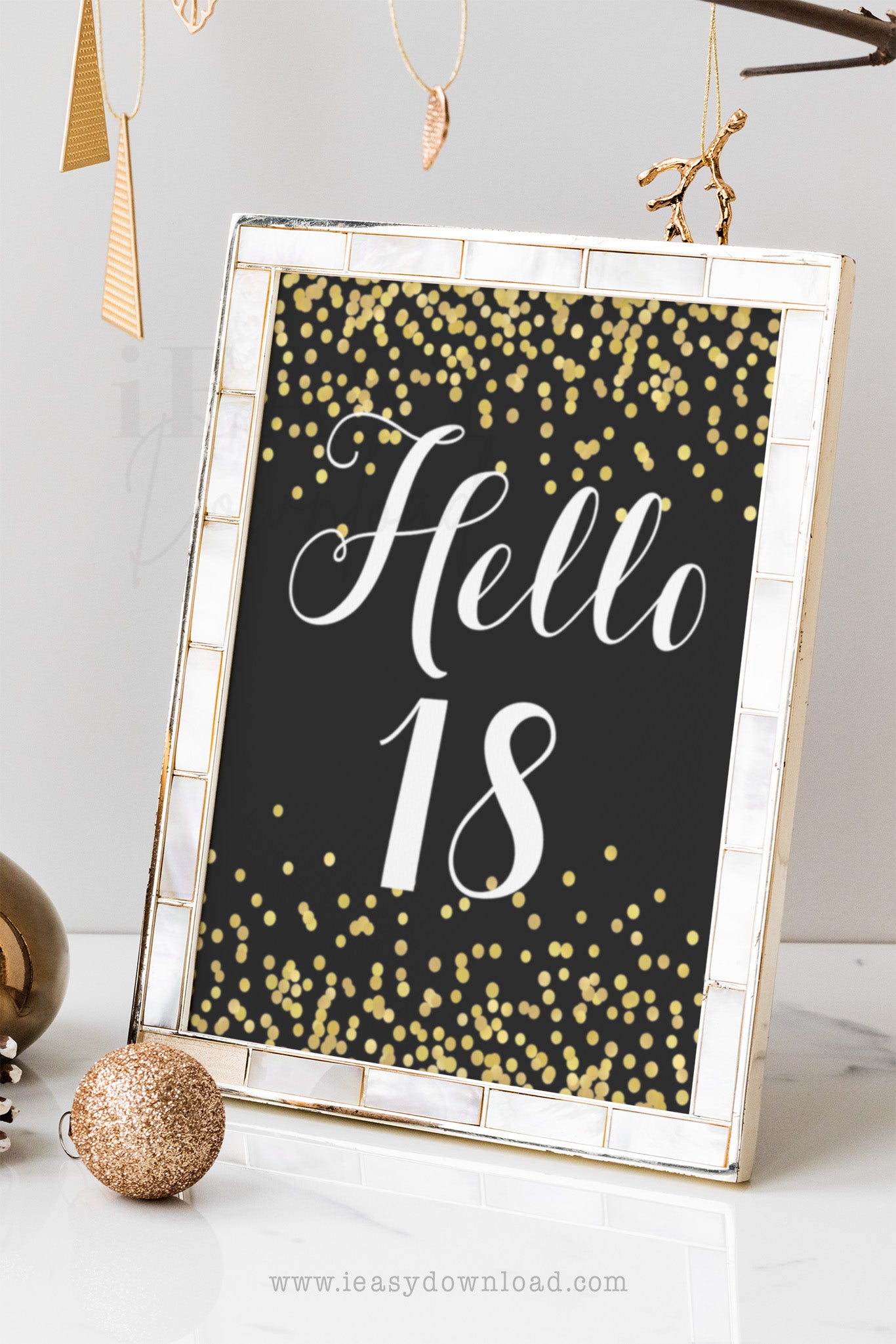 Hello 18 birthday party sign