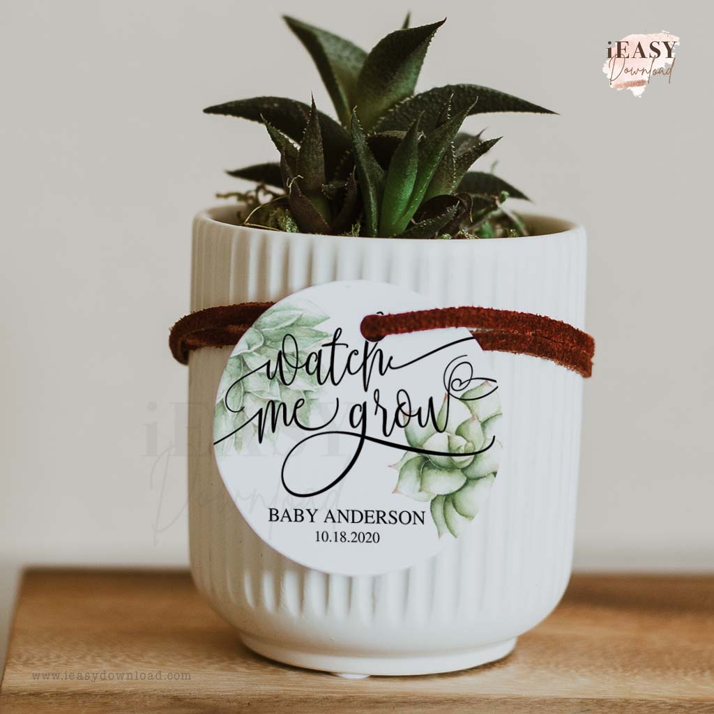 Succulents for Baby Shower Favors • Watch Me Grow • Editable Baby Shower Decorations - #TMC19