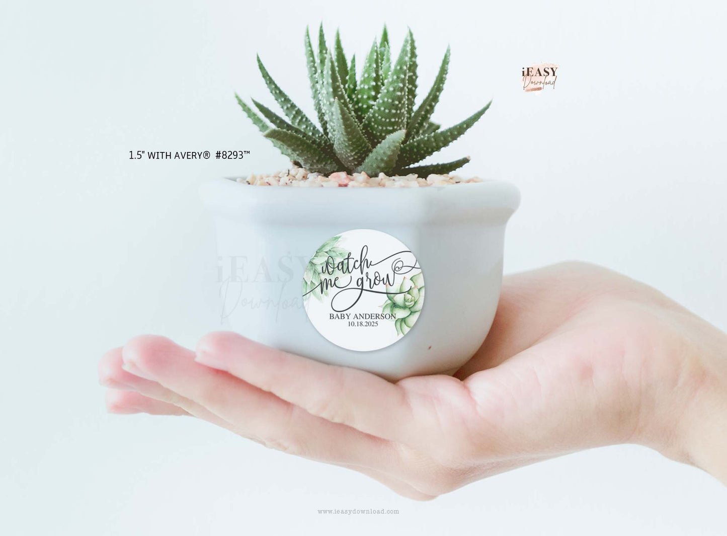 Succulents for Baby Shower Favors • Watch Me Grow • Editable Baby Shower Decorations - #TMC19
